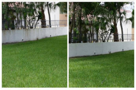 Pressure washing wall fort lauderdale